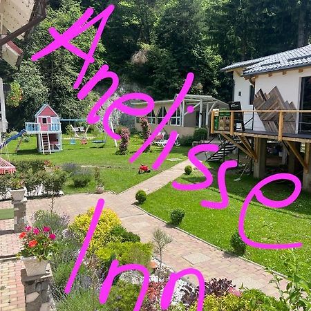 Anelisse Inn Moeciu De Sus Exterior photo