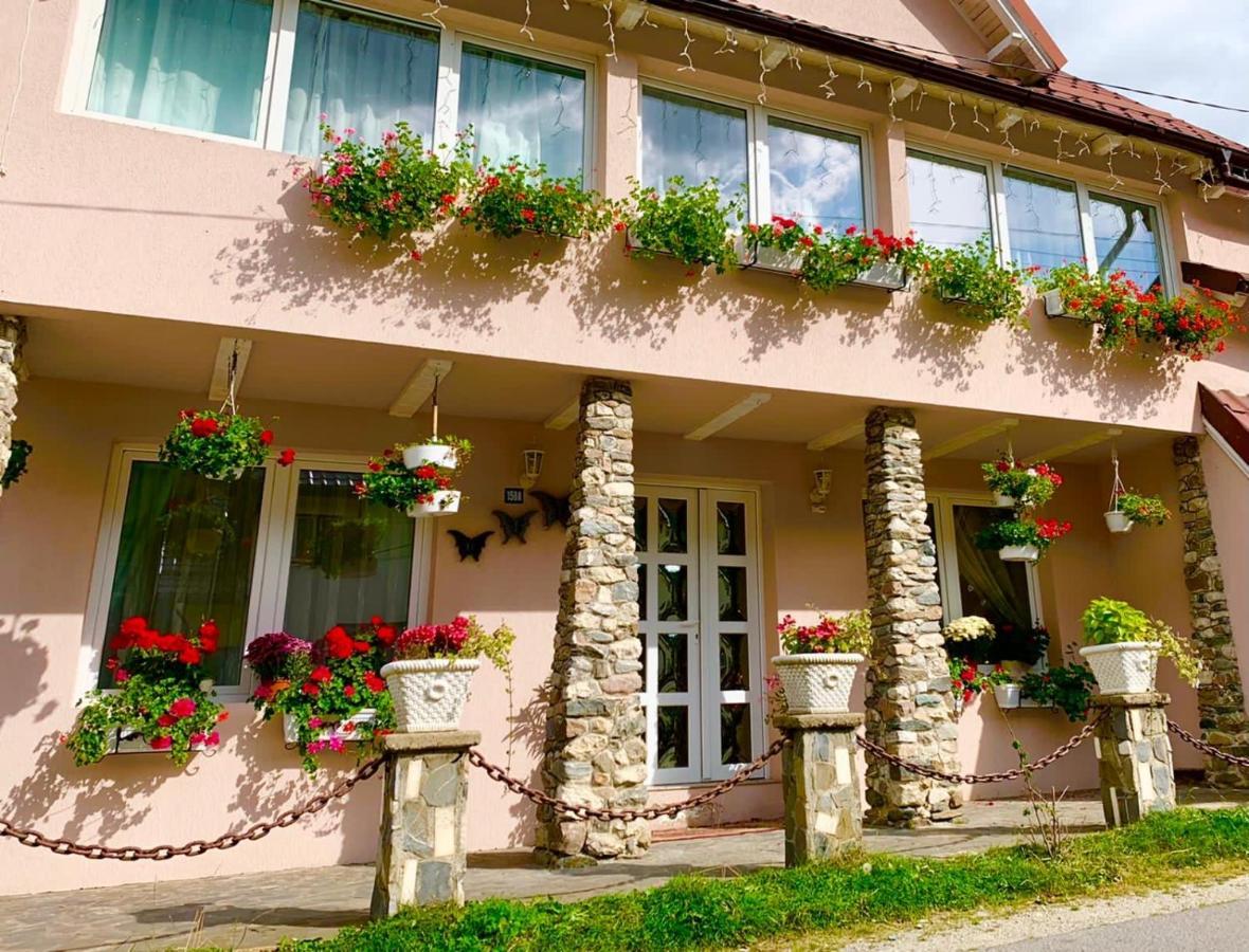 Anelisse Inn Moeciu De Sus Exterior photo