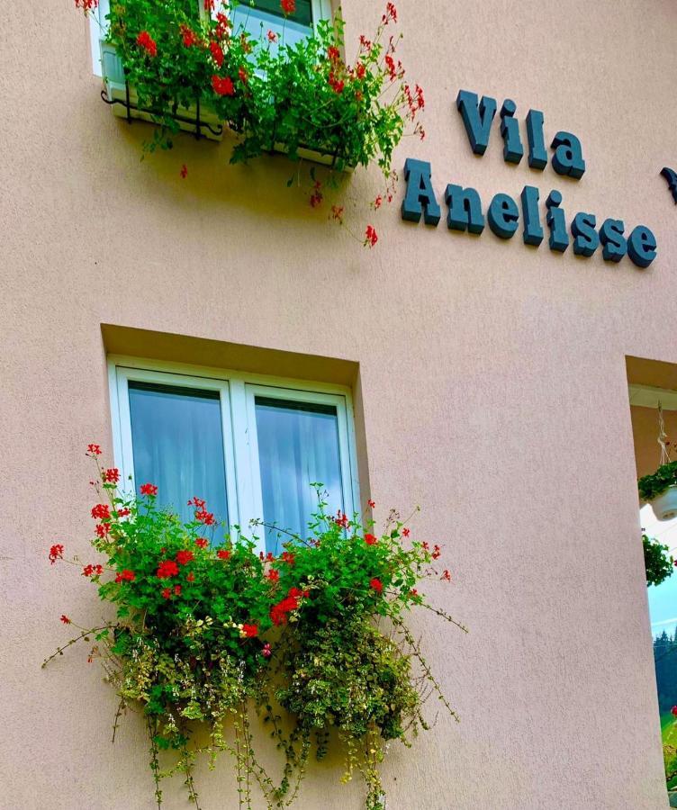 Anelisse Inn Moeciu De Sus Exterior photo