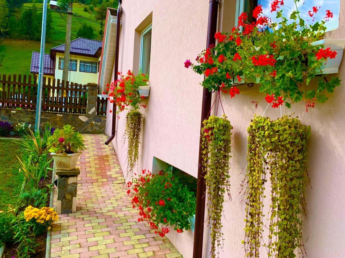 Anelisse Inn Moeciu De Sus Exterior photo