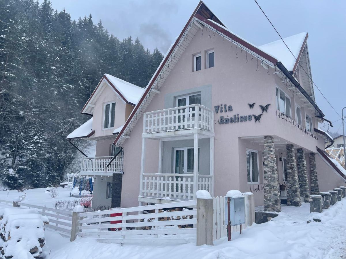 Anelisse Inn Moeciu De Sus Exterior photo