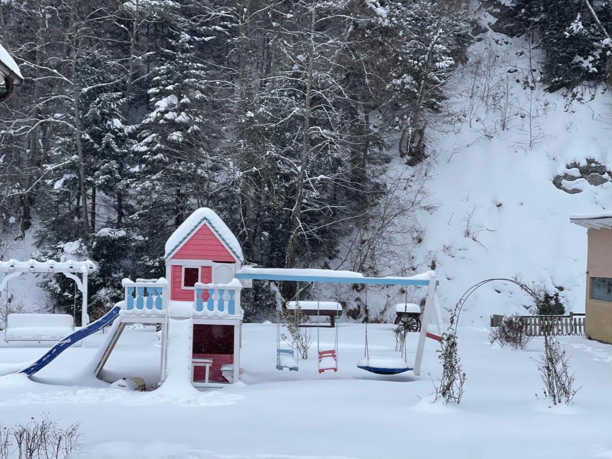 Anelisse Inn Moeciu De Sus Exterior photo