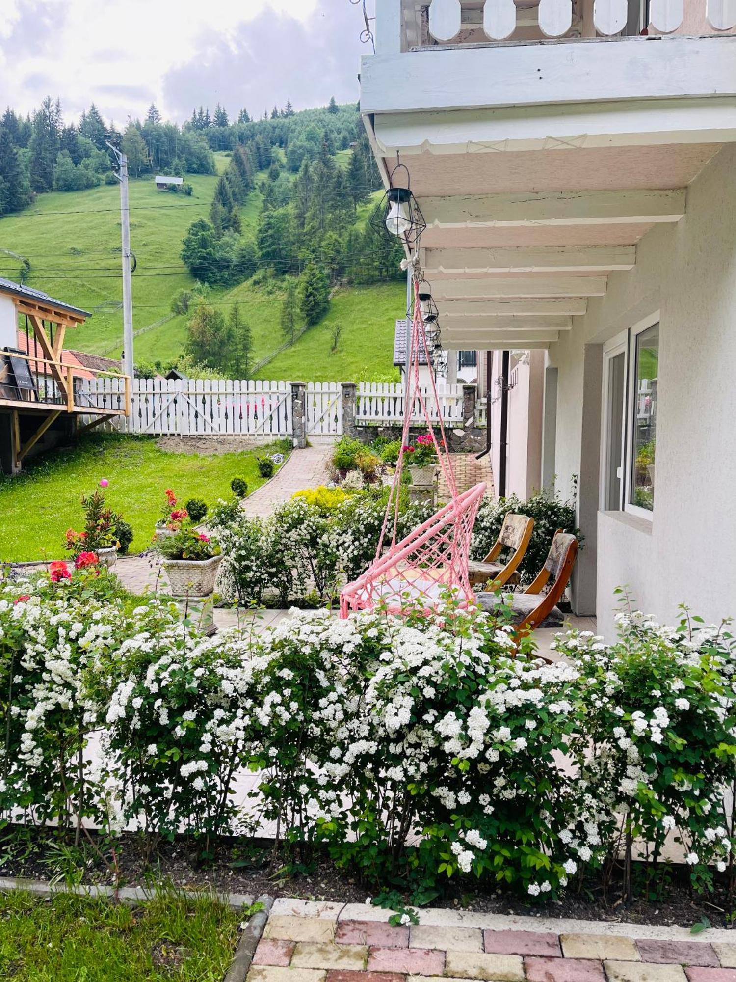 Anelisse Inn Moeciu De Sus Exterior photo