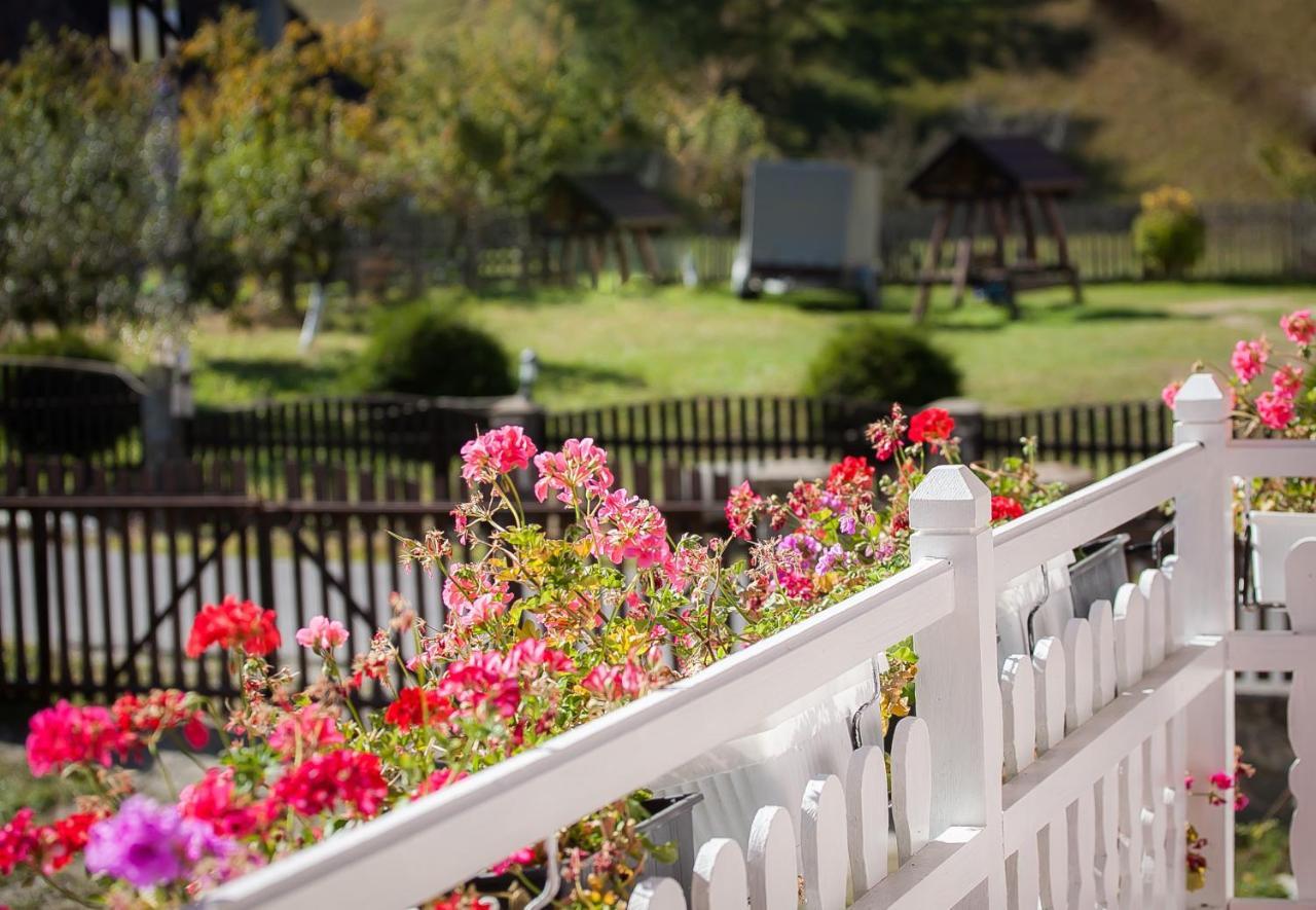Anelisse Inn Moeciu De Sus Exterior photo